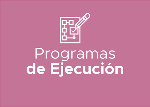 Programas de Ejecución